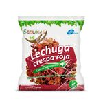 Lechuga-Roja-Hidroponica-de-Invernadero-Ecologic-x-Unid-1-44544266