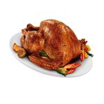 Pavo-Entero-Congelado-San-Fernando-x-kg-2-30254