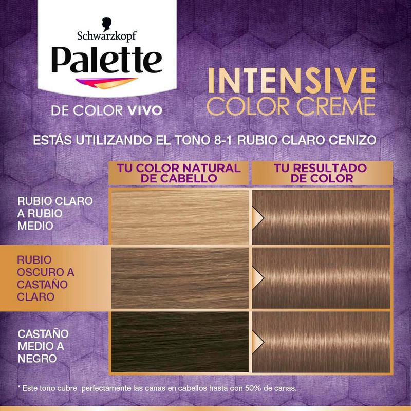 Tinte-Palette-Color-Creme-Rubio-Claro-Cenizo-8-1-3-138461
