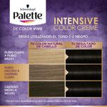 Tinte-Palette-Color-Creme-Negro-1-0-3-138478