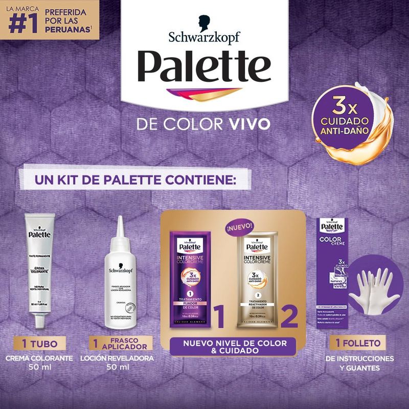 Tinte-Palette-Color-Creme-Chocolate-Claro-6-68-2-138482