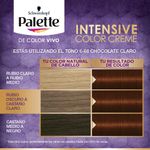 Tinte-Palette-Color-Creme-Chocolate-Claro-6-68-3-138482