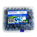 BLUEBERRY-X-500-GR-1-242417