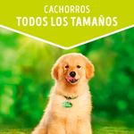 Dog-Chow-Trozos-Jugosos-de-Pollo-Cachorros-Doypack-100-gr-7-1342