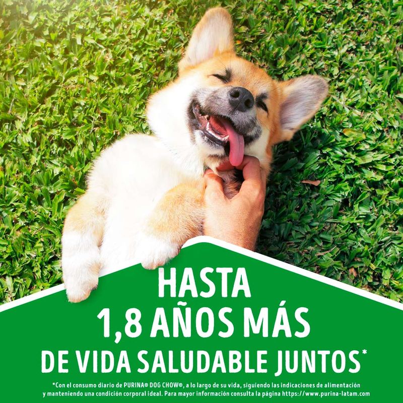 Dog-Chow-Trozos-Jugosos-Festival-de-Salm-n-Adultos-Raza-Peque-a-Doypack-100-gr-3-17192914