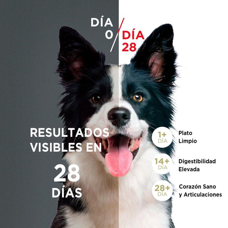 Alimento-para-Perros-Medianos-y-Grandes-Purina-One-Pollo-y-Cordero-2kg-2-249468050