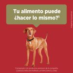 Alimento-para-Perros-Medianos-y-Grandes-Purina-One-Pollo-y-Cordero-2kg-6-249468050