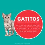 Alimento-para-Gatitos-Purina-One-Pollo-y-Carne-2kg-7-249468056