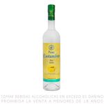 Pisco-Costumbres-Italia-Botella-750-ml-1-36818621