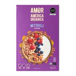 Mix-de-Cereales-Muesli-Crunchy-Am-rica-Org-nica-200g-1-259735928
