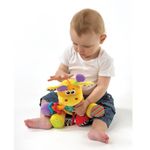 Amigo-Jirafa-Playgro-Discovery-3-325106883