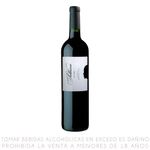 Vino-Tinto-Malbec-Sottano-Botella-750-ml-1-146313
