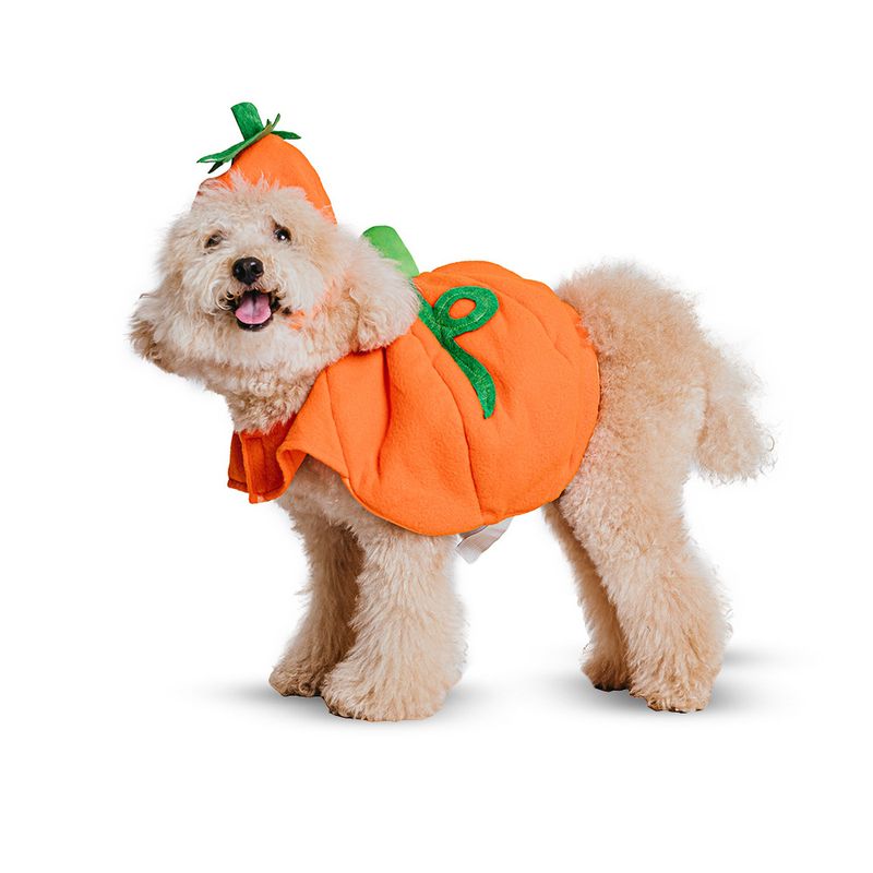 Disfraz Cósmico Bourgeon Disfraz para Mascota Party Dog Calabaza - Wong.pe