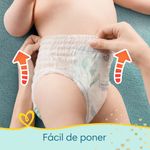 PACK-X3-PAMPERS-PANTS-PREMIUM-CAREXG52UN-8-351640314