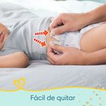 PACK-X3-PAMPERS-PANTS-PREMIUM-CAREXG52UN-9-351640314