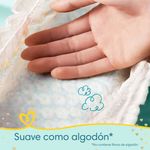 PACK-X3-PAMPERS-PANTS-PREMIUMCAREXXG52UN-10-351640318