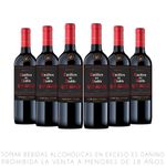 PACKX6-VINO-CASILLERO-DIABLO-RED-BLEND-1-351642344
