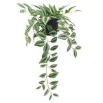 PLANTA-COLGANTE-D1-TT-1-331851944