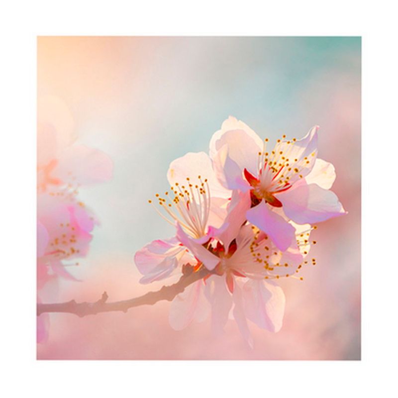 CANVAS-20X20-CM-FLORES-02-1-351633331