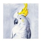 CANVAS-20X20-CM-ANIMALES-04-1-351633373