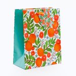 Bolsa-Benji-Mandarin-XL-1-308567409