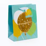 BOLSA-XL-GLOBOS-COLORES-TQSA-BL-XL-GLB-COL-1-308567427