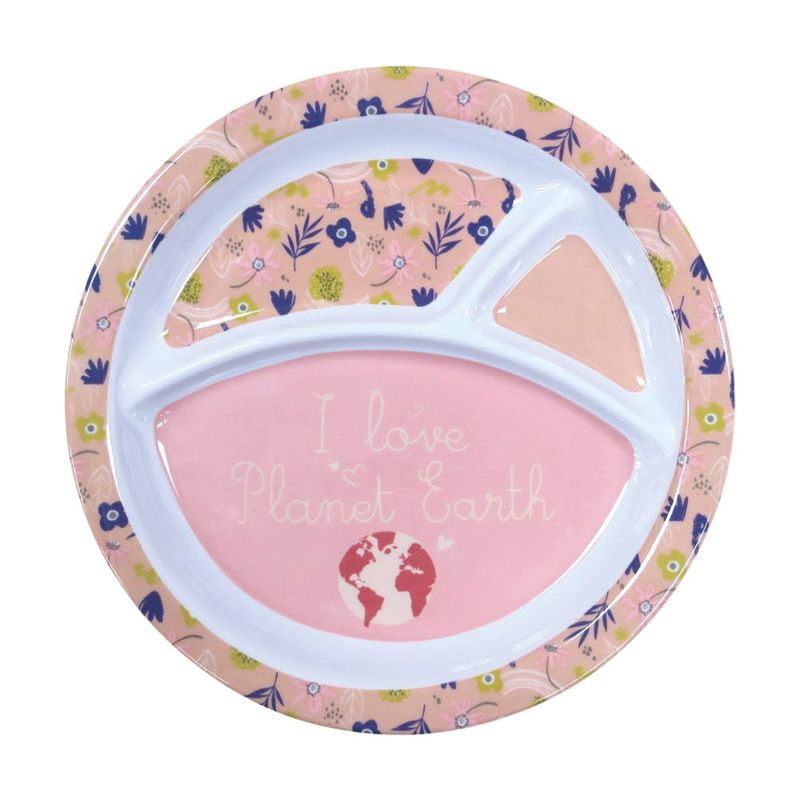 Plato-con-Divisiones-Planet-Earth-1-351632976