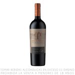 Vino-Tinto-Merlot-Casas-Patronales-Gran-Reserva-Botella-750ml-1-351651469