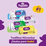 Toallitas-H-medas-Peque-n-Piel-Delicada-80un-4-351654409