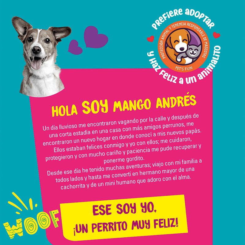 Casa-para-Perro-Pet-s-Fun-Care-Rundy-Talla-M-Rojo-3-119294