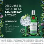 Gin-Tanqueray-London-Dry-Botella-700ml-2-5542