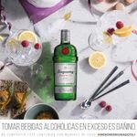 Gin-Tanqueray-London-Dry-Botella-700ml-3-5542